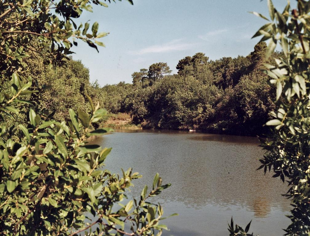 Abbaye De Capservy Villardonnel Εξωτερικό φωτογραφία
